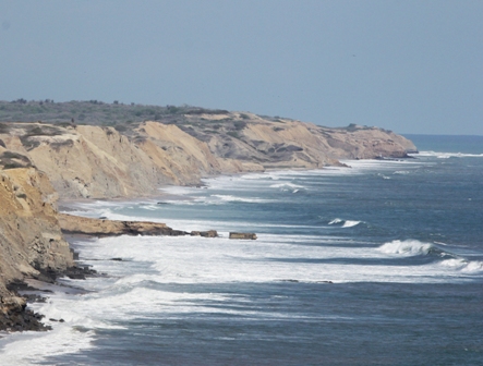 Foto taller ecosistema